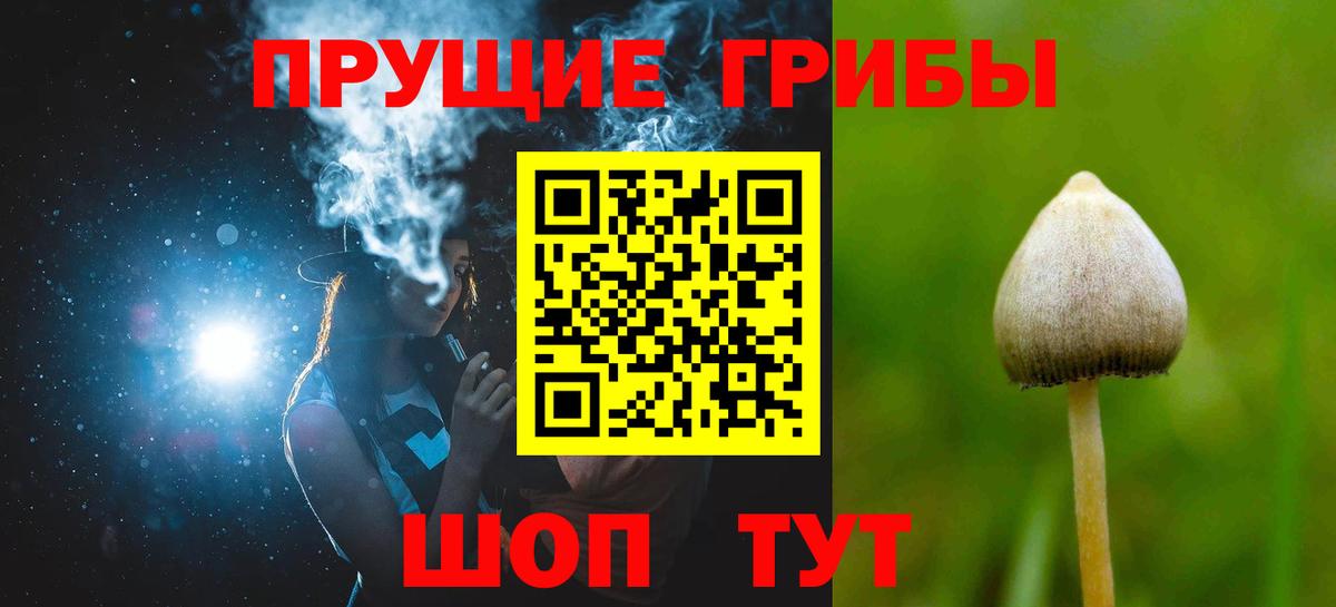 Галлюциногенные грибы Psilocybine cubensis Лабытнанги